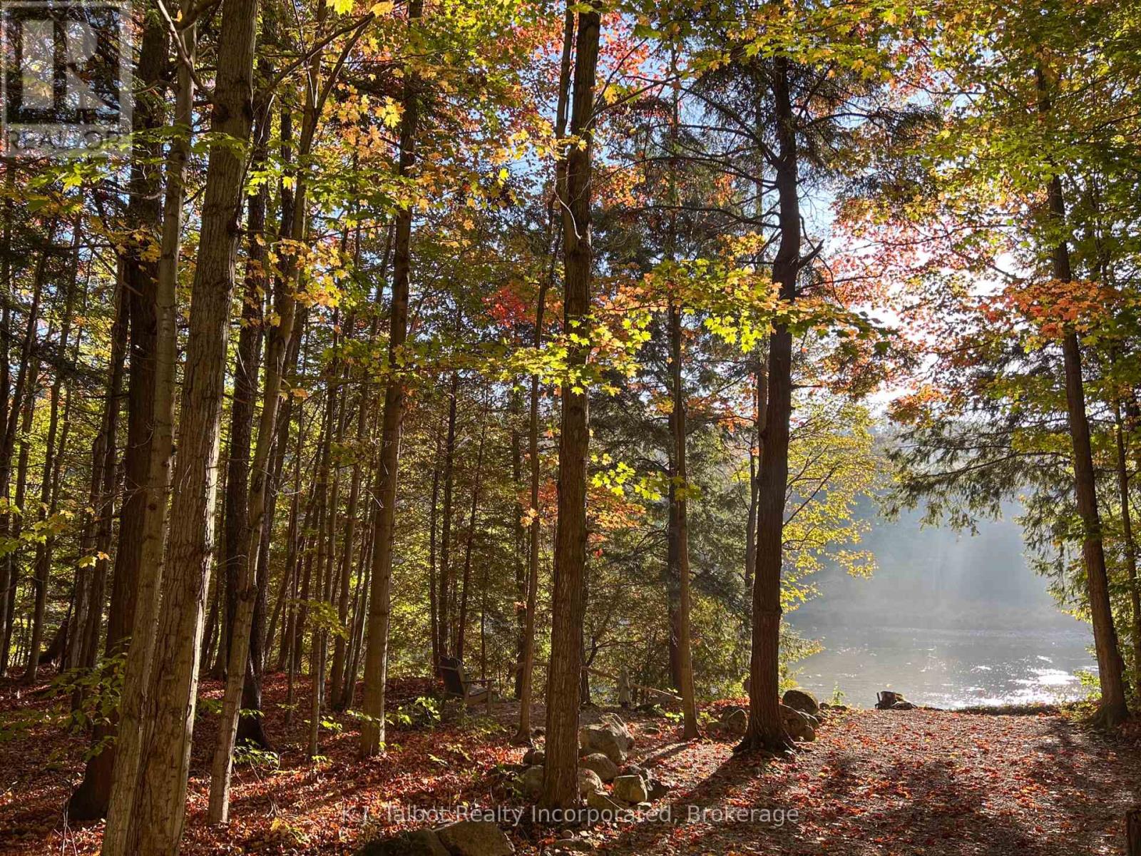 80602 Benmiller Line, Central Huron, Ontario  N0M 1L0 - Photo 4 - X12781116