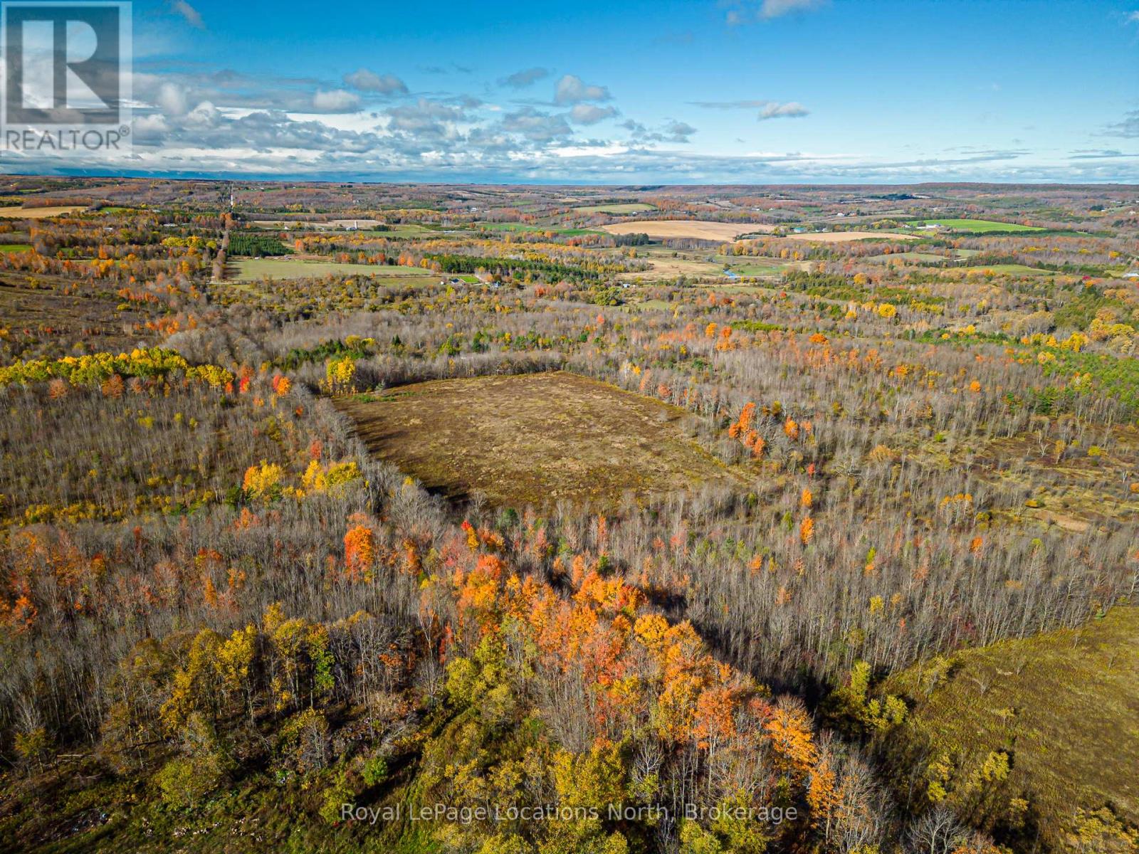 Lt 7-8 12th Line, Meaford, Ontario  N4L 1W5 - Photo 10 - X12784346