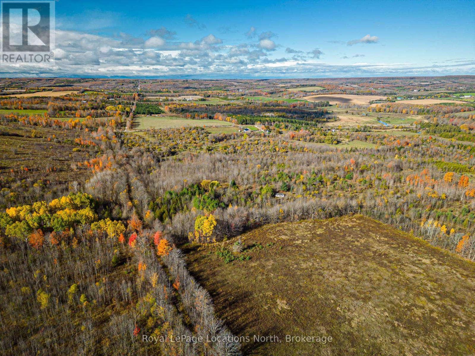 Lt 7-8 12th Line, Meaford, Ontario  N4L 1W5 - Photo 13 - X12784346