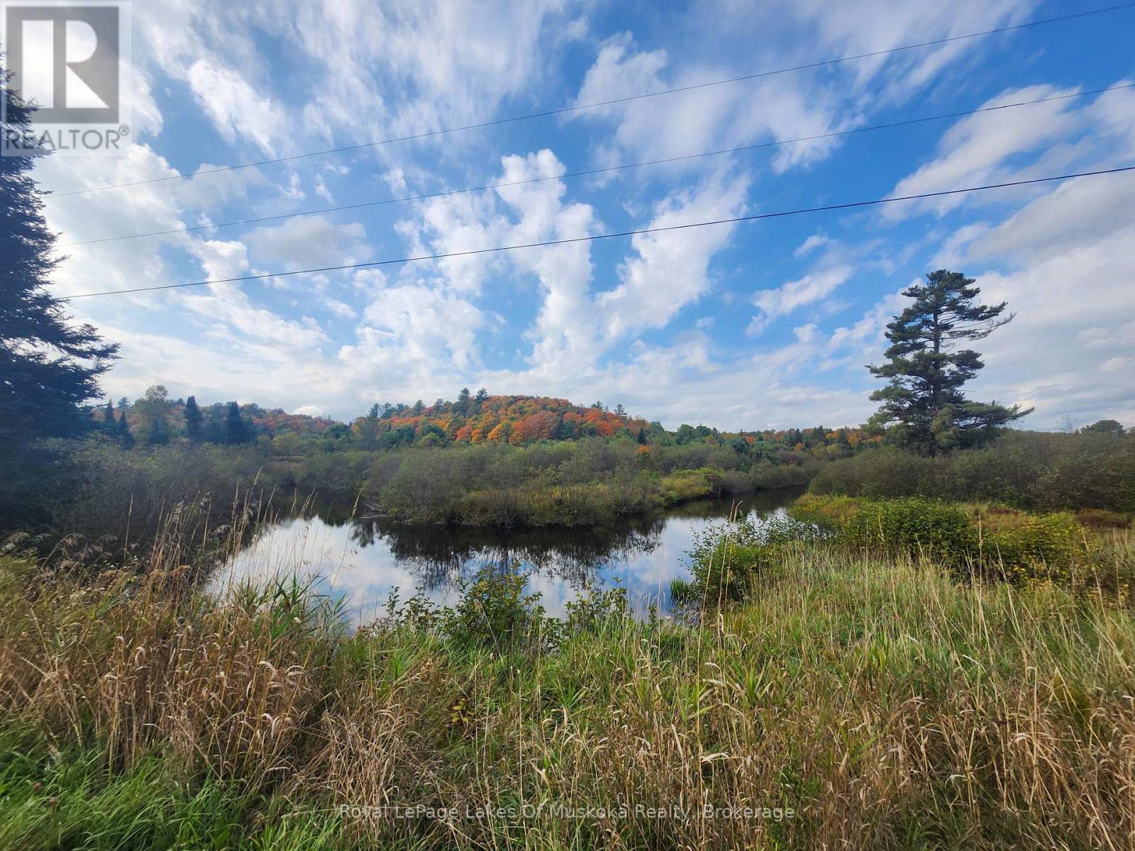 1524 Hekkla Road, Muskoka Lakes, Ontario  P0C 1J0 - Photo 6 - X12784586