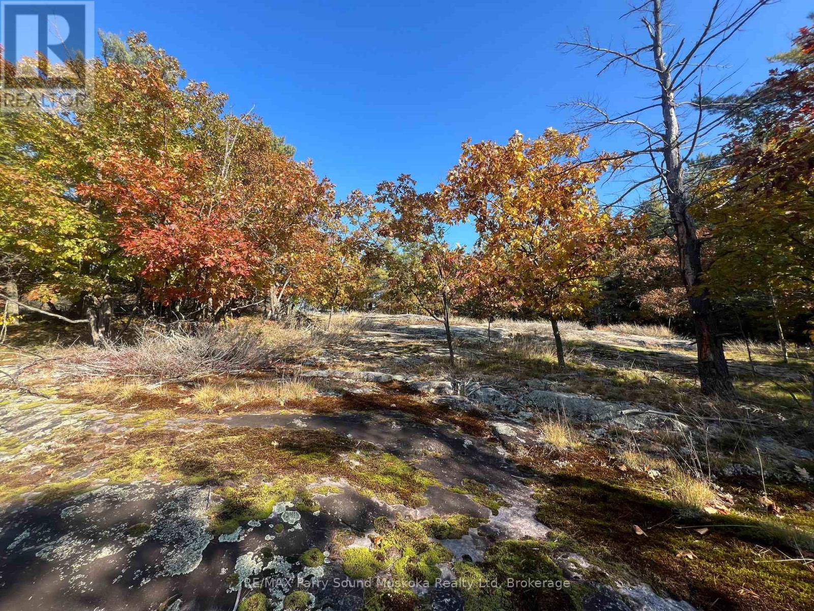 13 Ridgeway Drive, Carling, Ontario  P0G 1G0 - Photo 2 - X12788060