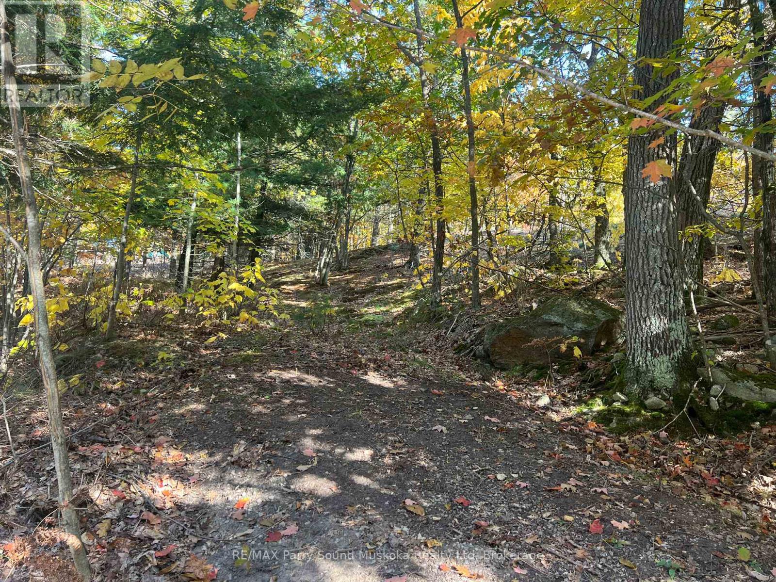 13 Ridgeway Drive, Carling, Ontario  P0G 1G0 - Photo 24 - X12788060