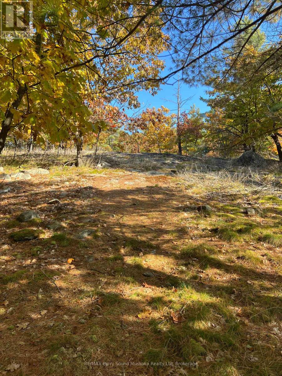 13 Ridgeway Drive, Carling, Ontario  P0G 1G0 - Photo 28 - X12788060