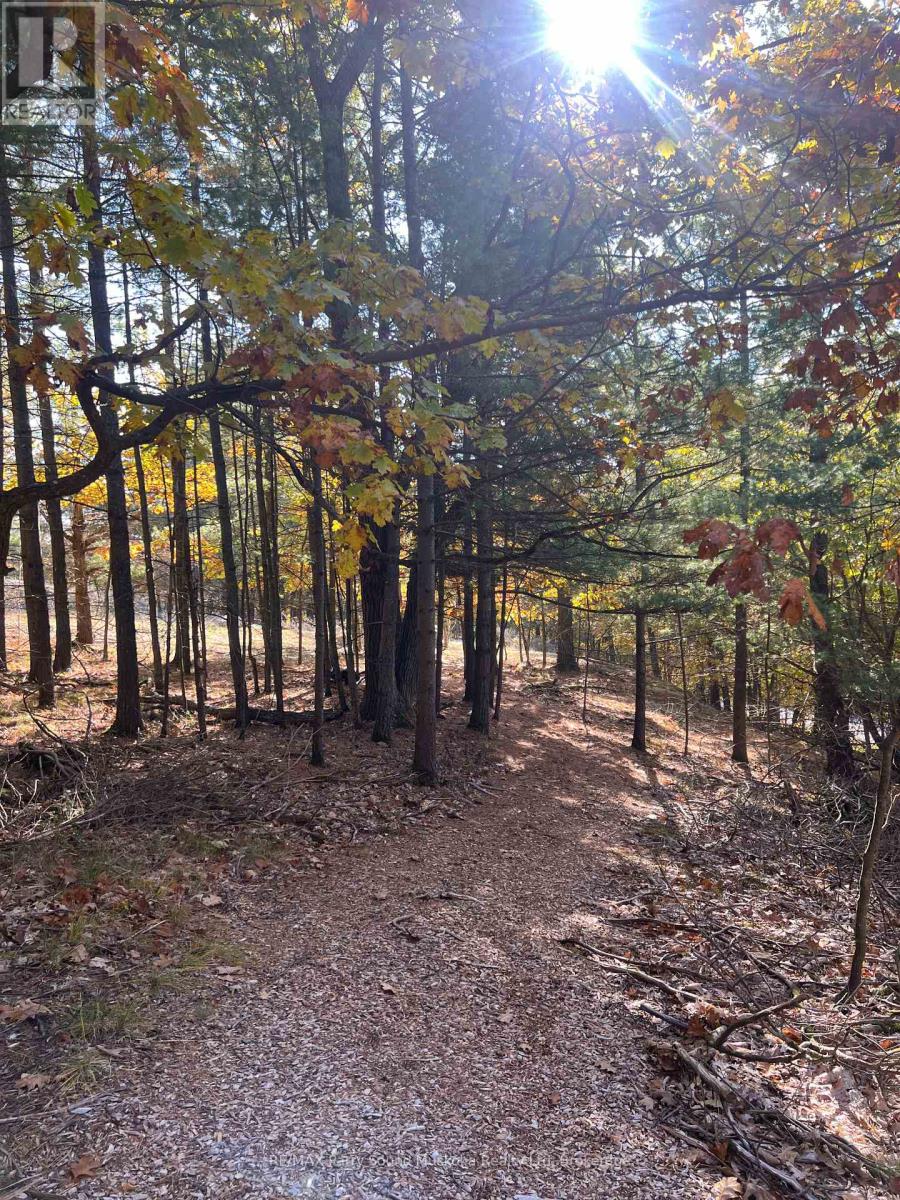 13 Ridgeway Drive, Carling, Ontario  P0G 1G0 - Photo 31 - X12788060