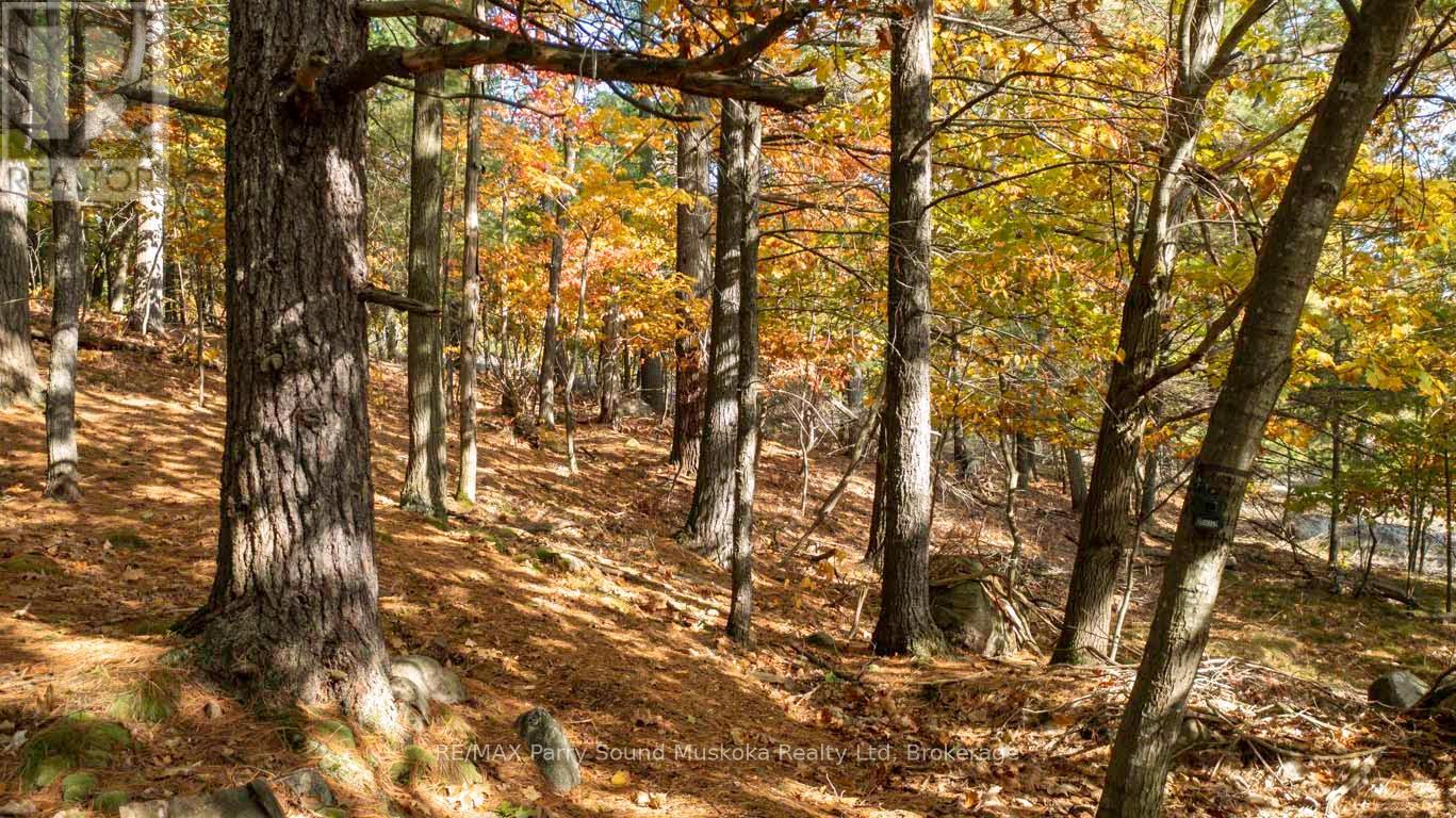 13 Ridgeway Drive, Carling, Ontario  P0G 1G0 - Photo 6 - X12788060