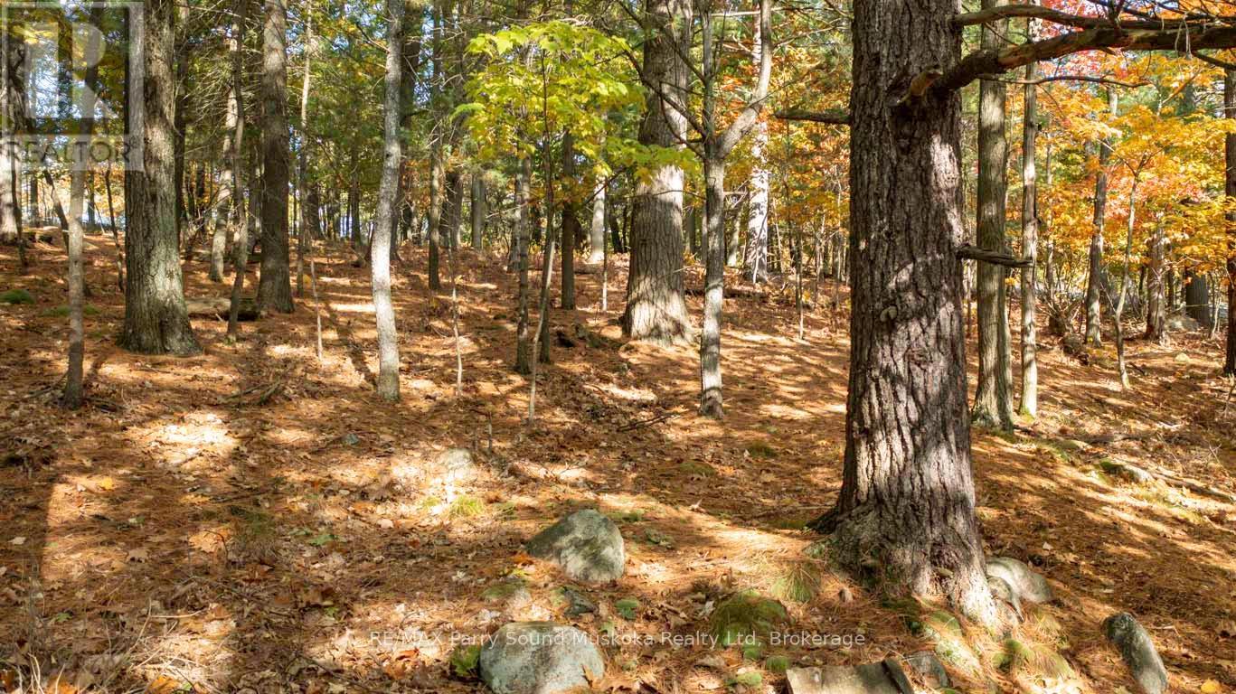 13 Ridgeway Drive, Carling, Ontario  P0G 1G0 - Photo 7 - X12788060