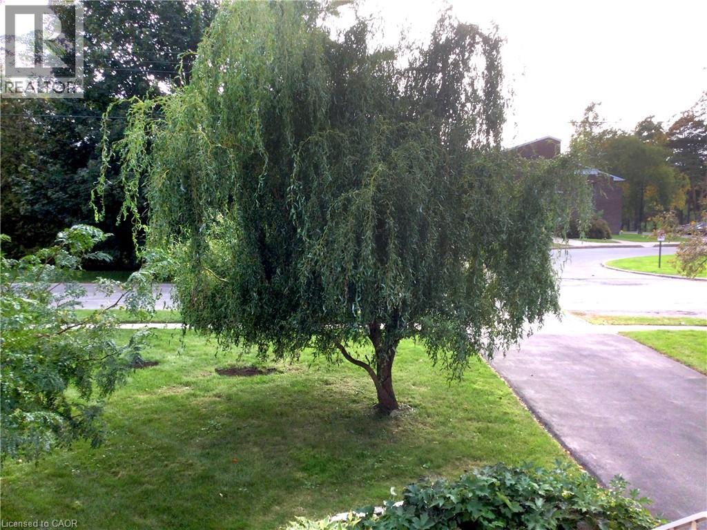 220 Regent Avenue, Port Dover, Ontario  N0A 1N0 - Photo 43 - 40804882