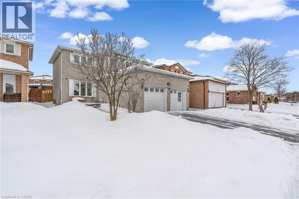 161 HAVELOCK Drive, Brampton, Ontario