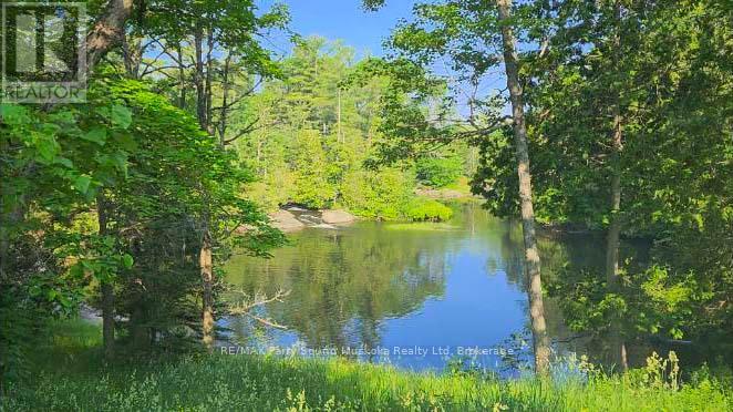 37 Lynberry Drive, Seguin, Ontario  P2A 2W9 - Photo 11 - X12819618