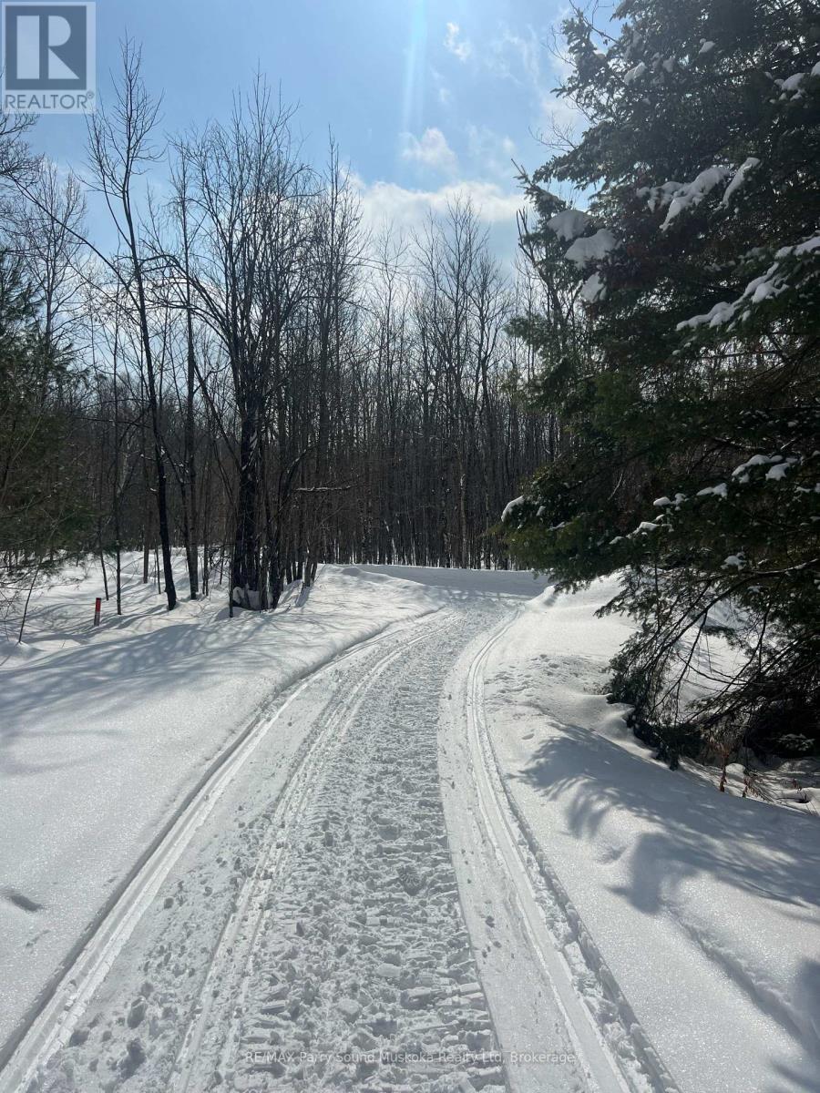 37 Lynberry Drive, Seguin, Ontario  P2A 2W9 - Photo 47 - X12819618