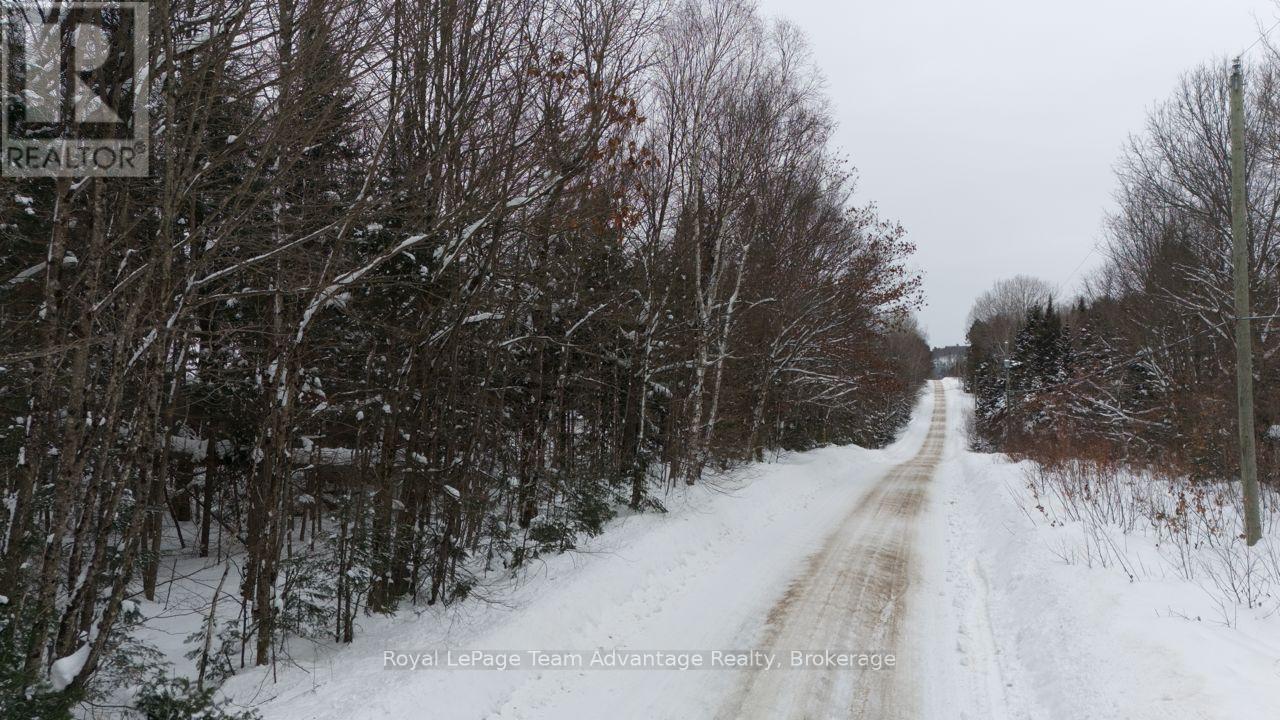 0 Lakeview Drive E, Ryerson, Ontario  P0A 1C0 - Photo 6 - X12820012