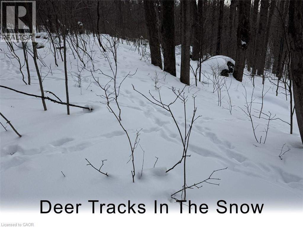 0 Mountsberg Road, Hamilton, Ontario  L0P 1B0 - Photo 11 - 40807551