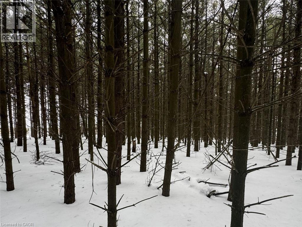 0 Mountsberg Road, Hamilton, Ontario  L0P 1B0 - Photo 12 - 40807551