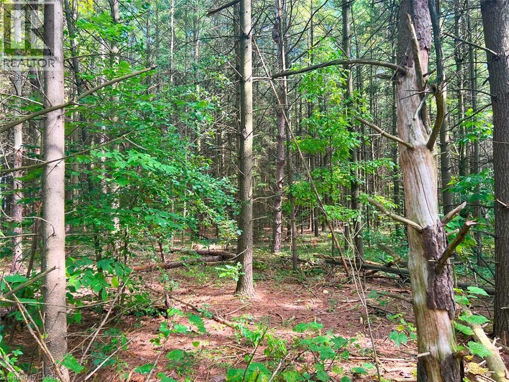 0 Mountsberg Road, Hamilton, Ontario  L0P 1B0 - Photo 2 - 40807551