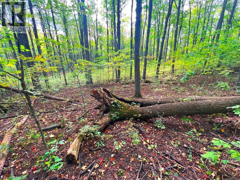 0 Mountsberg Road, Hamilton, Ontario  L0P 1B0 - Photo 7 - 40807551