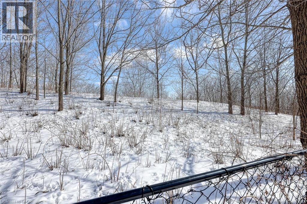 427 Champlain Avenue, Woodstock, Ontario  N4V 0B3 - Photo 48 - 40807391