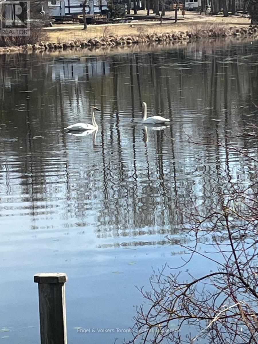 T106 - 7489 Sideroad 5 E, Wellington North, Ontario  N0G 2L0 - Photo 43 - X12831438