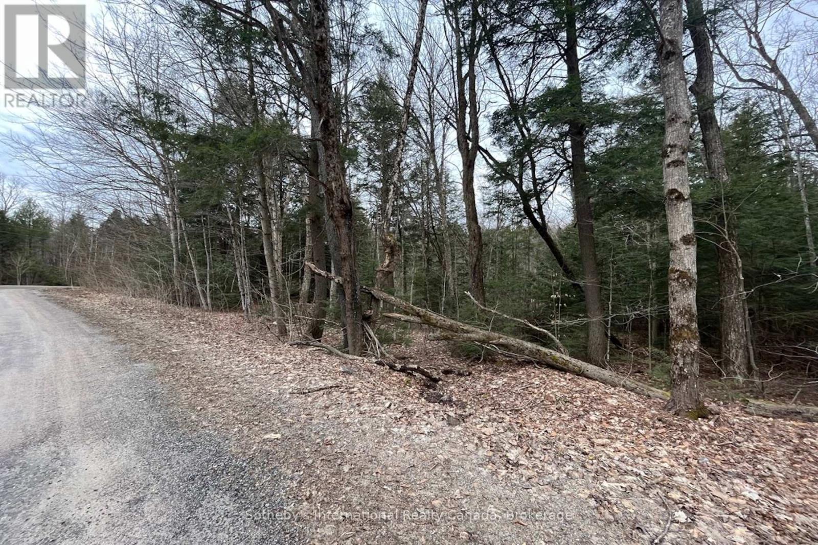 1031 Haven Road, Bracebridge, Ontario  P1L 1X1 - Photo 7 - X12840170