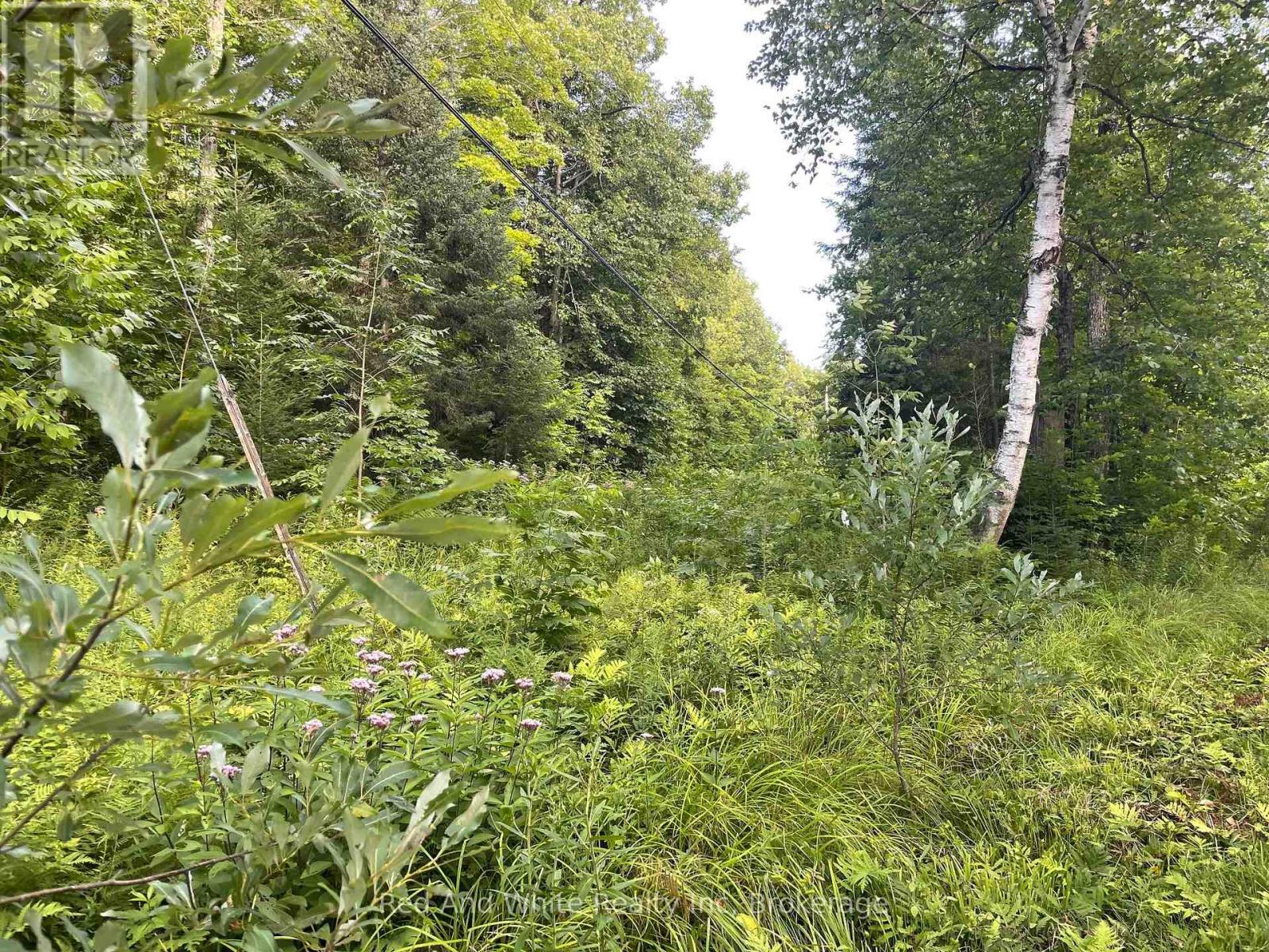 285 Chapman Drive, Magnetawan, Ontario  P0A 1P0 - Photo 5 - X12841100