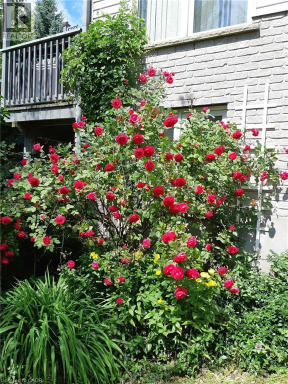 663 Heathcliffe Place, Waterloo, Ontario  N2T 2P3 - Photo 37 - 40809378