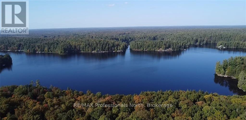 3 Stone Gate Lane, Bracebridge, Ontario  P1L 1X3 - Photo 10 - X12855204