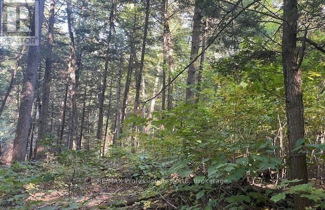 3 Stone Gate Lane, Bracebridge, Ontario  P1L 1X3 - Photo 8 - X12855204