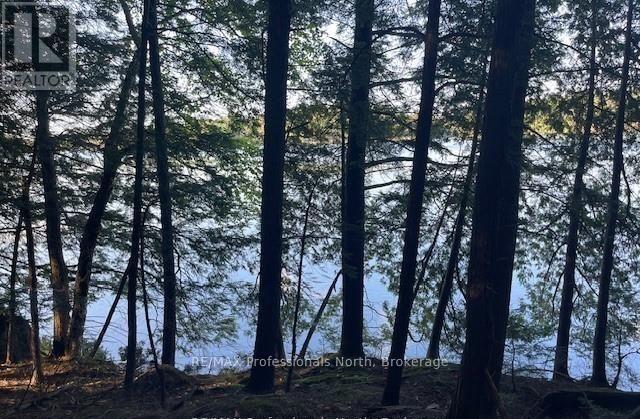 3 Stone Gate Lane, Bracebridge, Ontario  P1L 1X3 - Photo 9 - X12855204