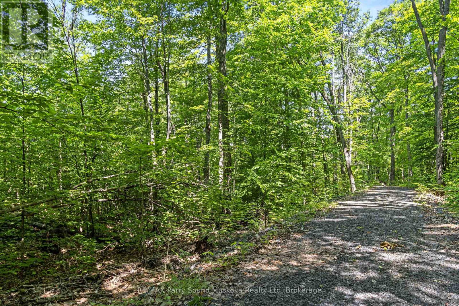 38 Fun Cottage Lane, Mcdougall, Ontario  P2A 2W7 - Photo 10 - X12857882