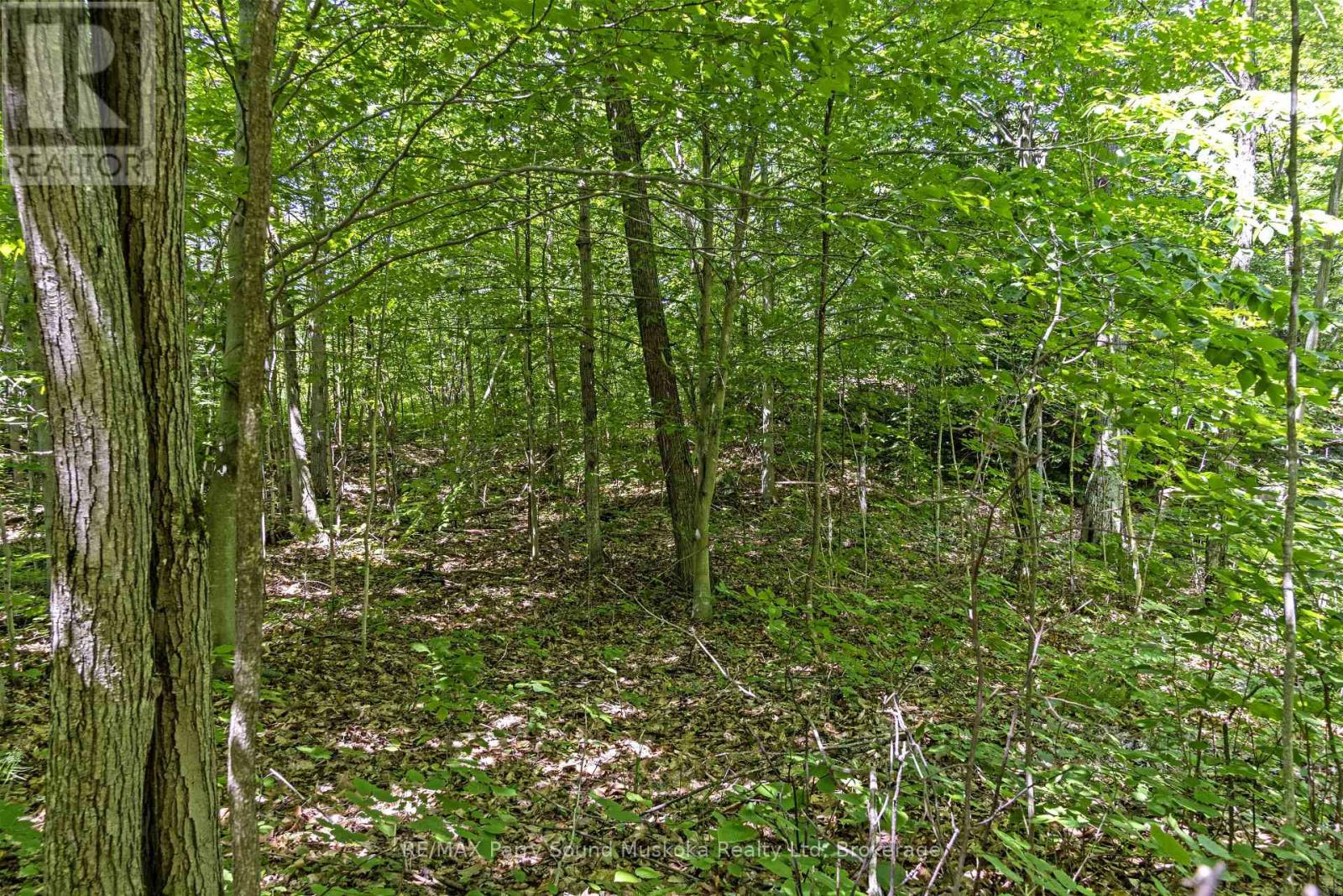 38 Fun Cottage Lane, Mcdougall, Ontario  P2A 2W7 - Photo 12 - X12857882