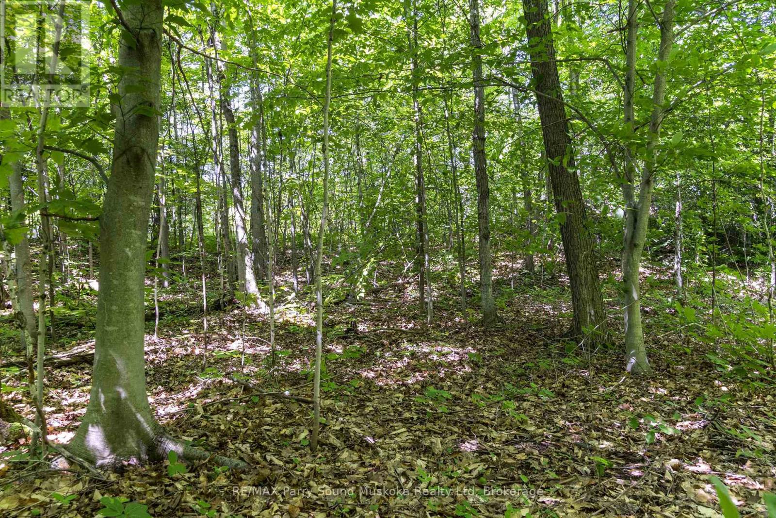 38 Fun Cottage Lane, Mcdougall, Ontario  P2A 2W7 - Photo 13 - X12857882