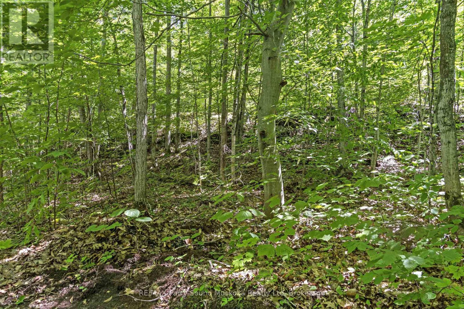 38 Fun Cottage Lane, Mcdougall, Ontario  P2A 2W7 - Photo 14 - X12857882