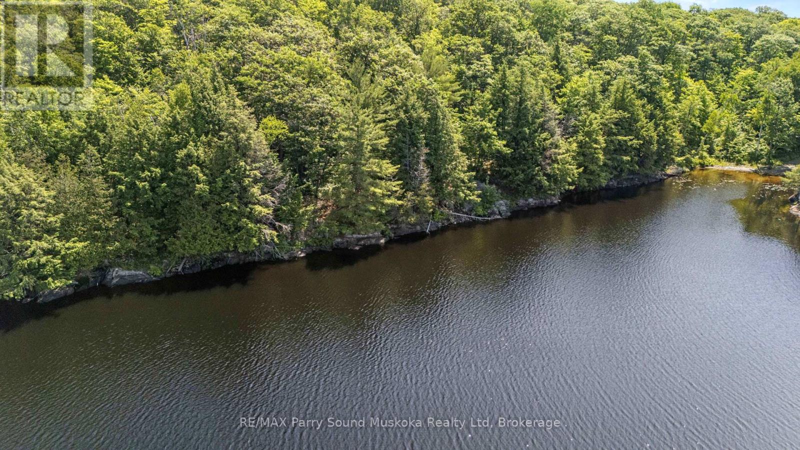 38 Fun Cottage Lane, Mcdougall, Ontario  P2A 2W7 - Photo 5 - X12857882