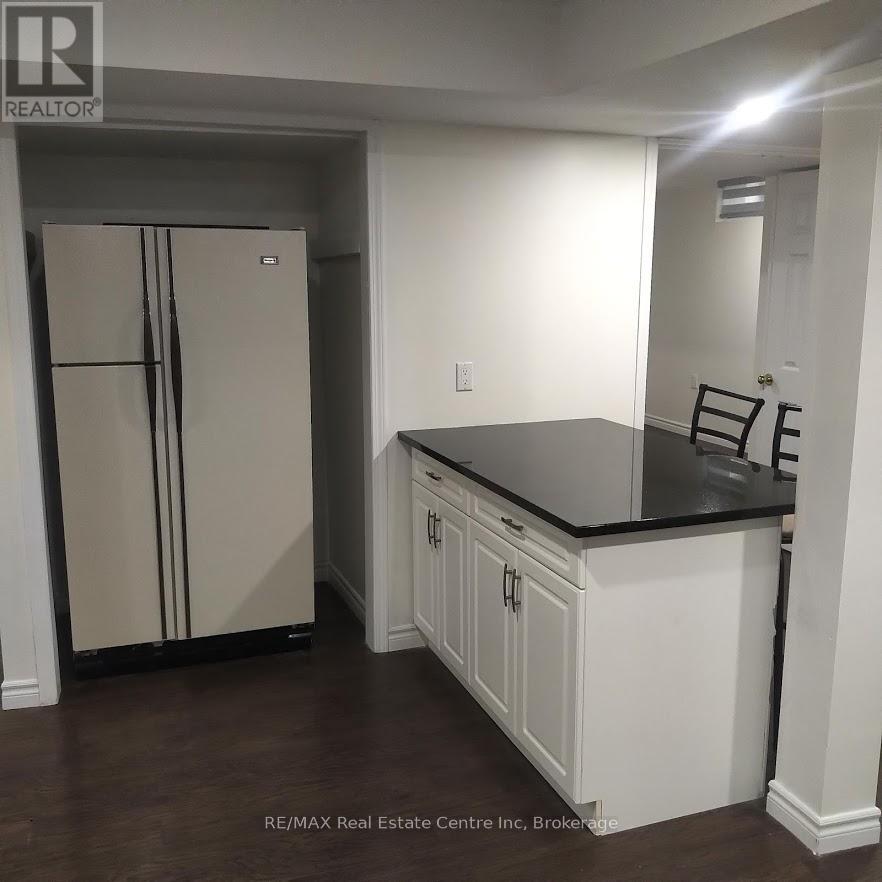 Lower - 19 Hands Drive, Guelph, Ontario  N1G 3E6 - Photo 14 - X12861248