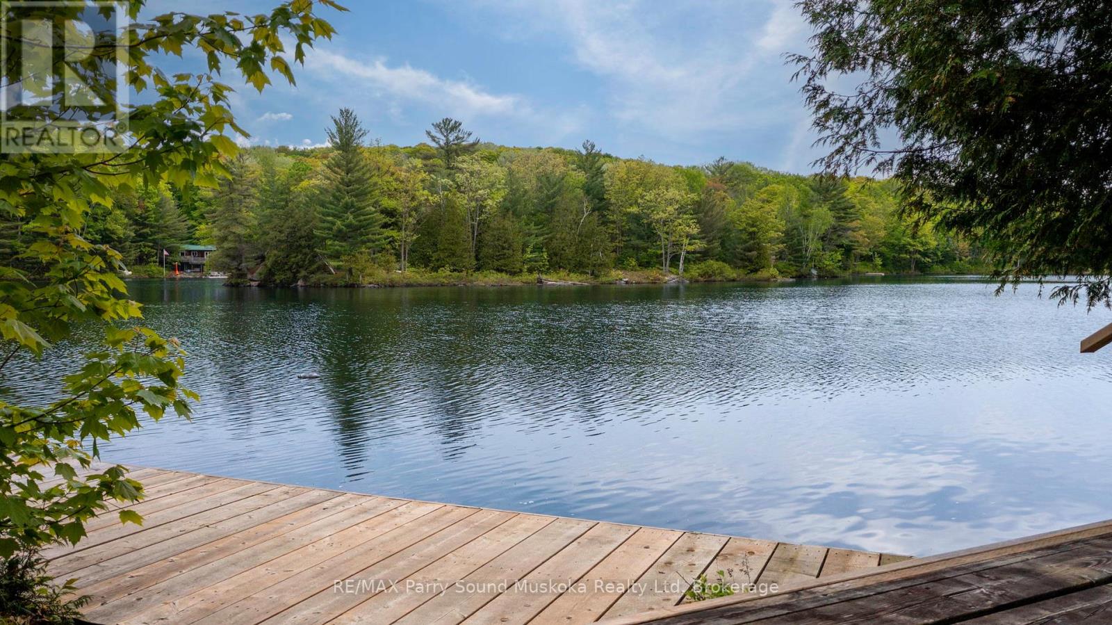 131 Downes Road, Seguin, Ontario  P2A 2W8 - Photo 33 - X12861672