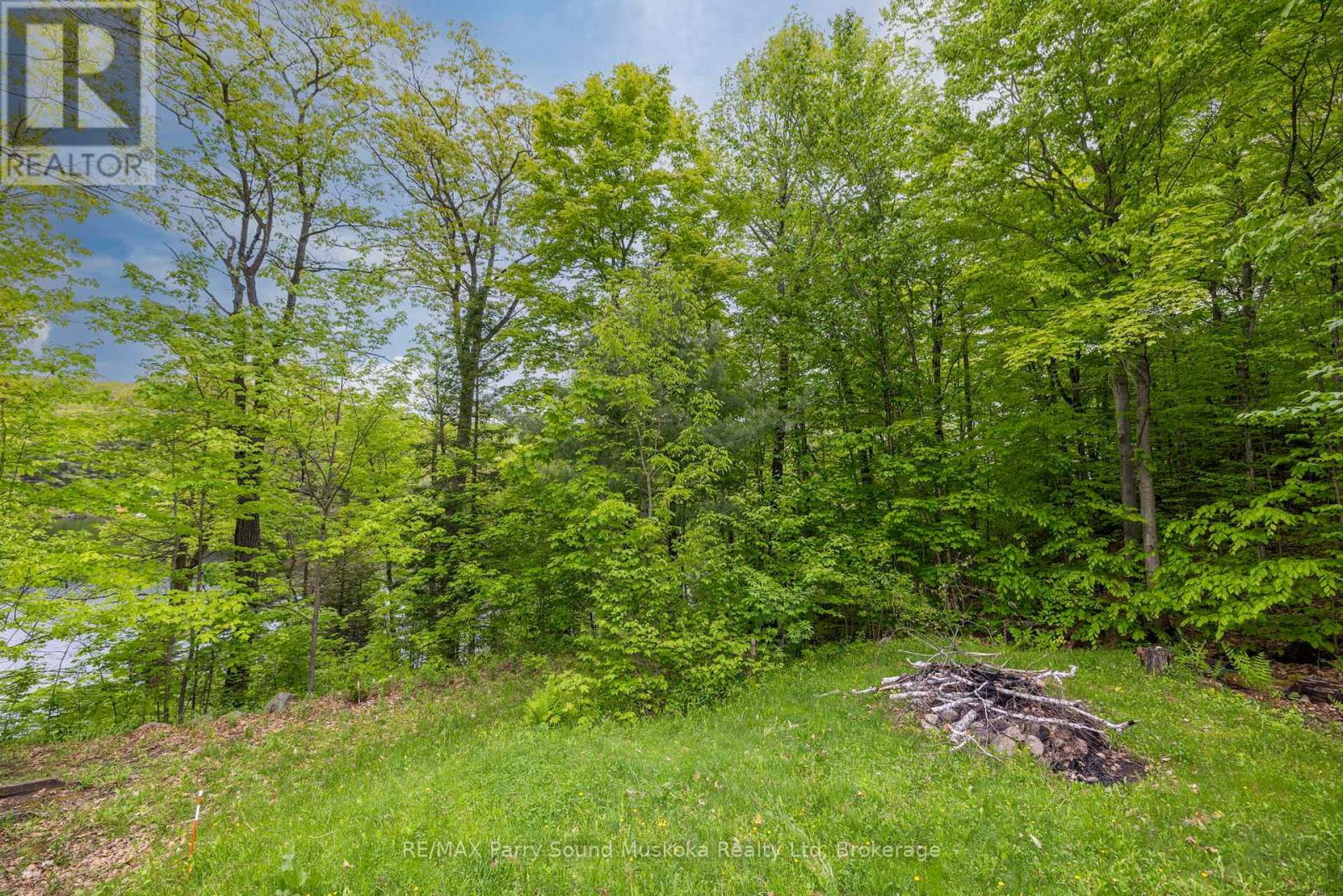 131 Downes Road, Seguin, Ontario  P2A 2W8 - Photo 41 - X12861672