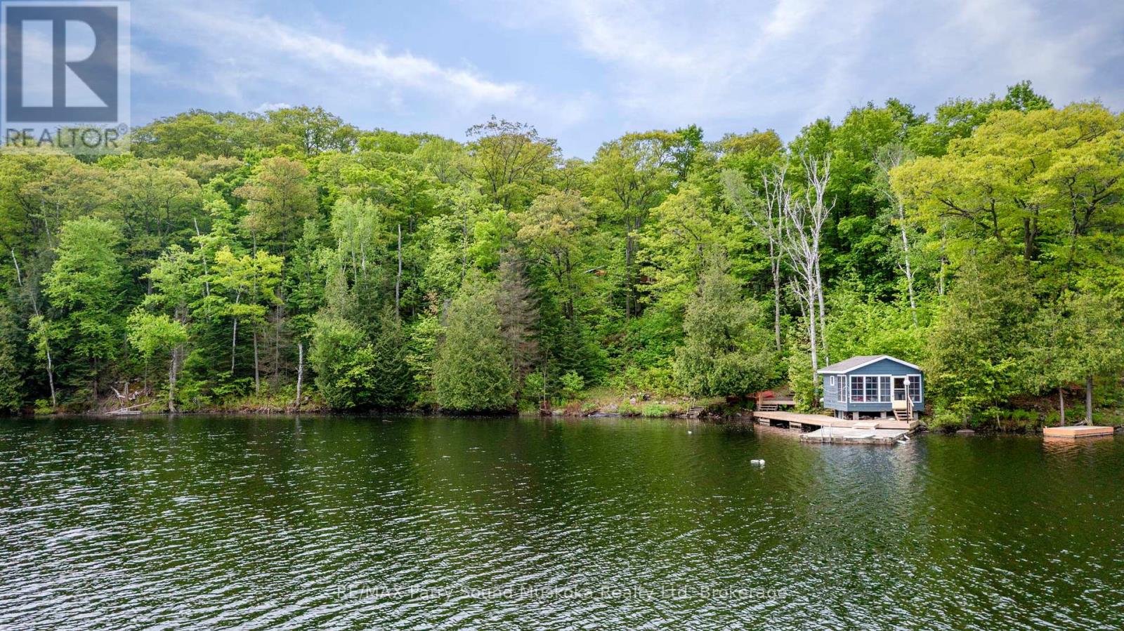 131 Downes Road, Seguin, Ontario  P2A 2W8 - Photo 45 - X12861672