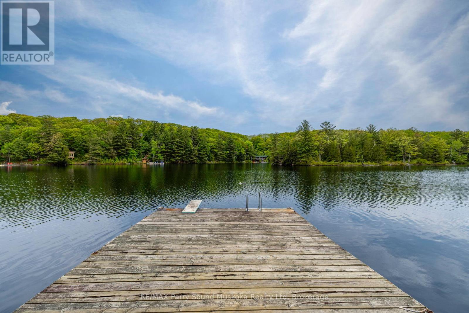 131 Downes Road, Seguin, Ontario  P2A 2W8 - Photo 46 - X12861672