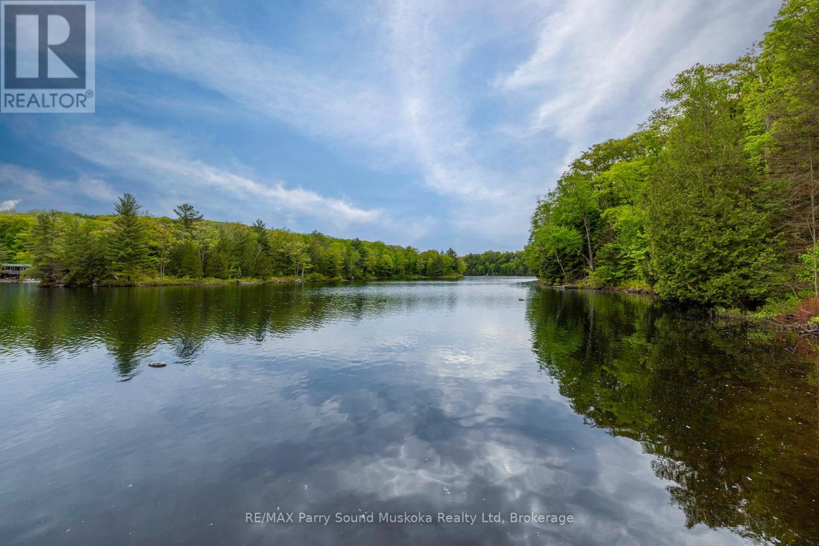 131 Downes Road, Seguin, Ontario  P2A 2W8 - Photo 5 - X12861672