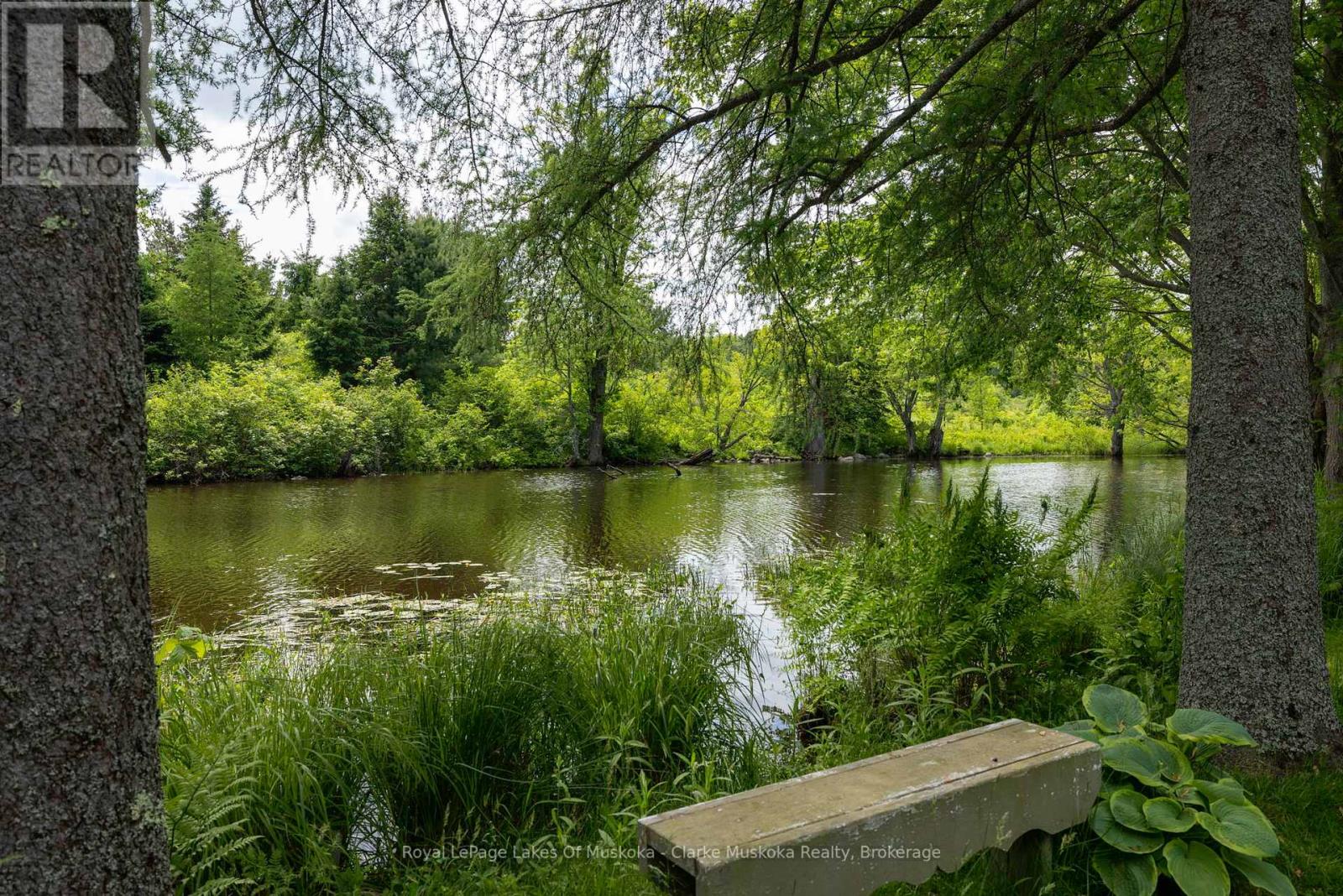 43 Maple St, Seguin, Ontario  P0C 1J0 - Photo 30 - X12866692