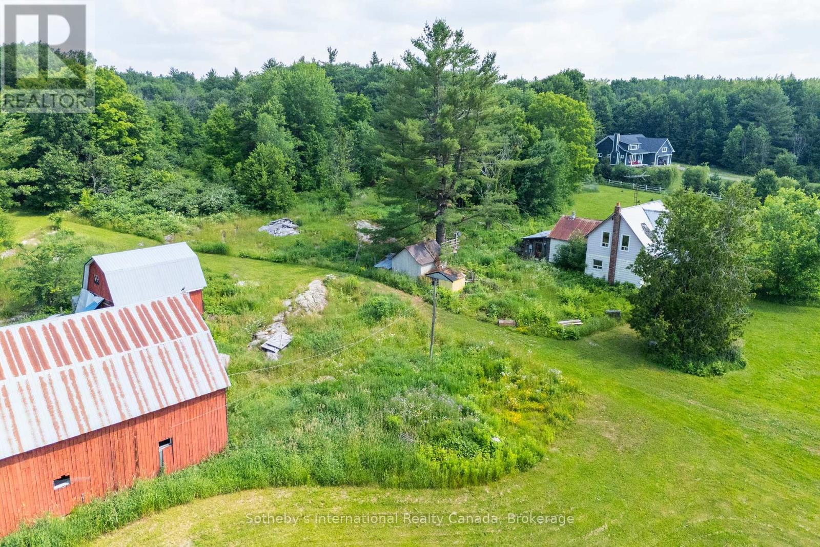 1316 Graham Road, Gravenhurst, Ontario  P0E 1N0 - Photo 19 - X12867990