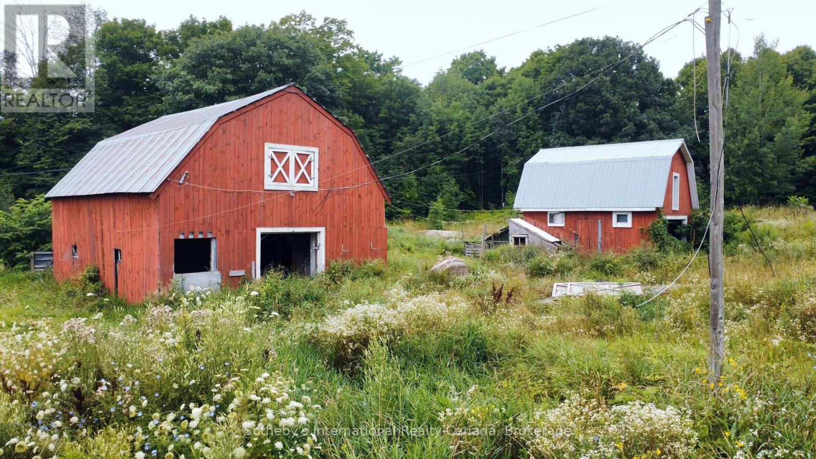 1316 Graham Road, Gravenhurst, Ontario  P0E 1N0 - Photo 7 - X12867990