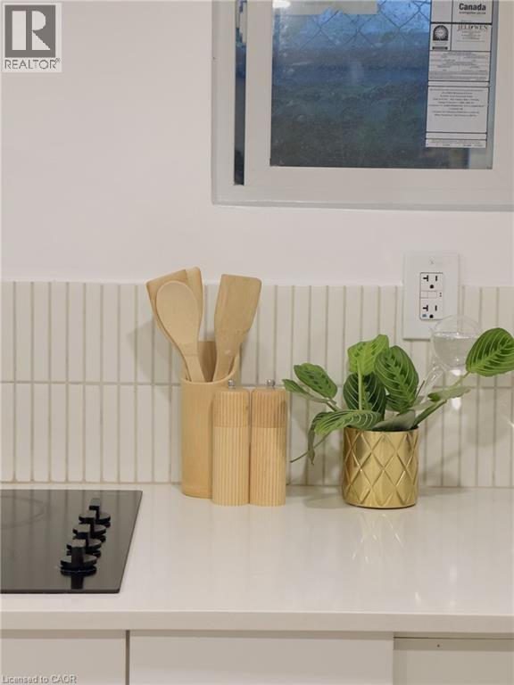 196 Walnut Street S, Hamilton, Ontario  L8N 2M1 - Photo 24 - 40811480