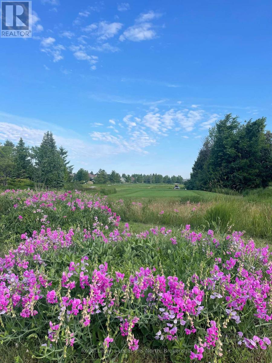 153 East Ridge Drive, Blue Mountains, Ontario  N0H 2P0 - Photo 37 - X12874580