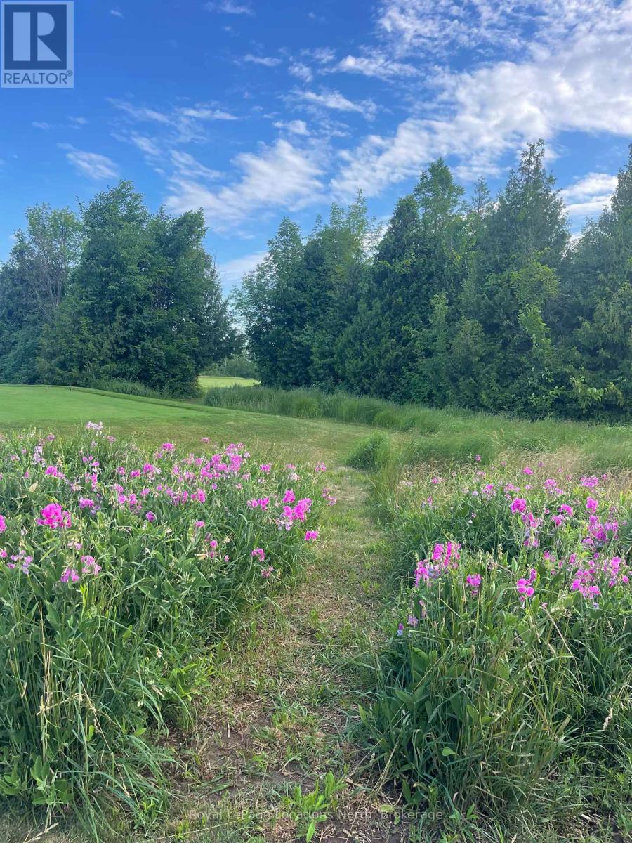 153 East Ridge Drive, Blue Mountains, Ontario  N0H 2P0 - Photo 38 - X12874580