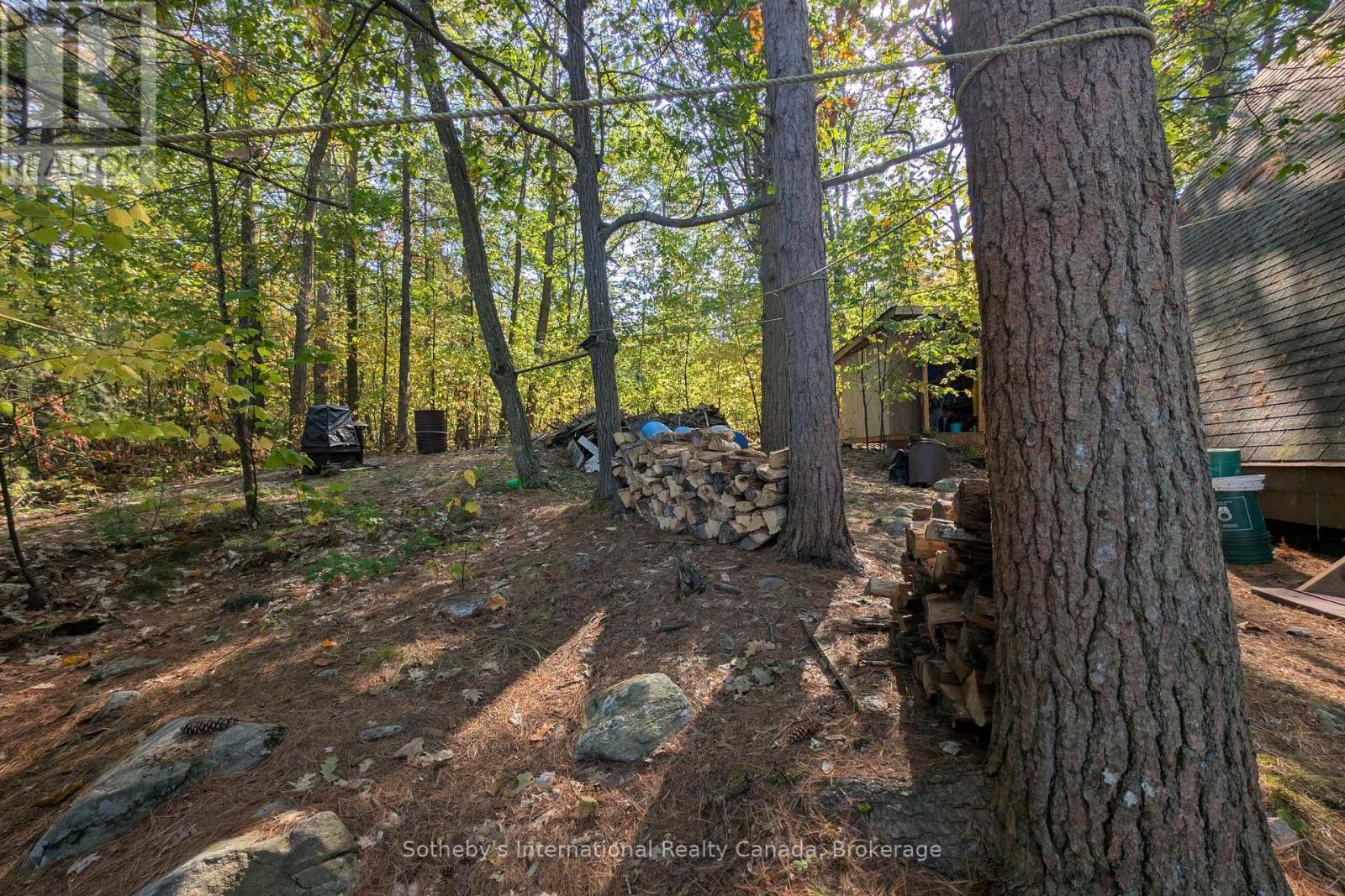 7128 Go Home Lake Shr, Georgian Bay, Ontario  L0K 1S0 - Photo 23 - X12890210