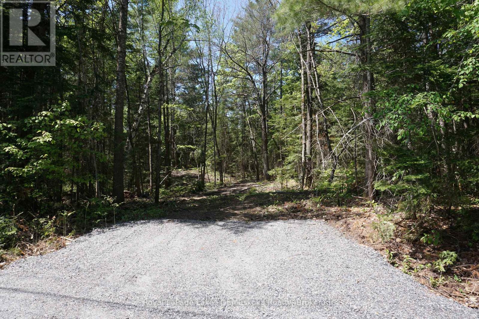 Lot 1 Fairy Falls Road Nw, Lake Of Bays, Ontario  P0B 1A0 - Photo 2 - X12891592