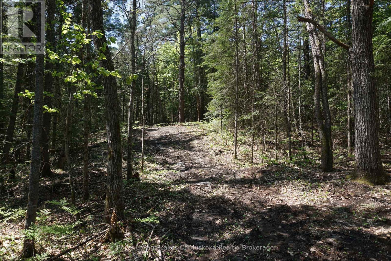 Lot 1 Fairy Falls Road Nw, Lake Of Bays, Ontario  P0B 1A0 - Photo 4 - X12891592