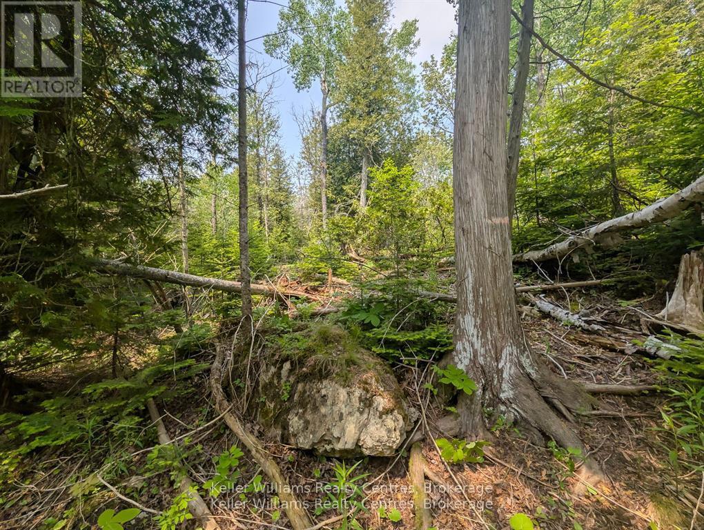 Pcl 2-3 Pt Lt 2 Walter Charman Drive, Northern Bruce Peninsula, Ontario  N0H 1W0 - Photo 18 - X12891744