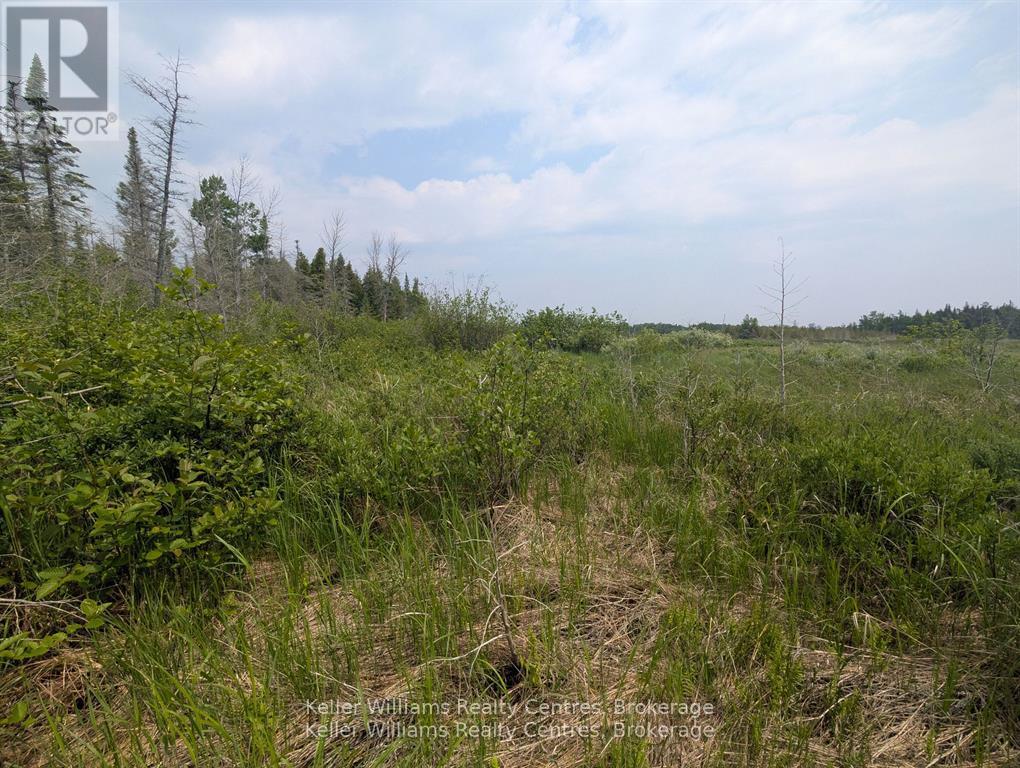 Pcl 2-3 Pt Lt 2 Walter Charman Drive, Northern Bruce Peninsula, Ontario  N0H 1W0 - Photo 20 - X12891744