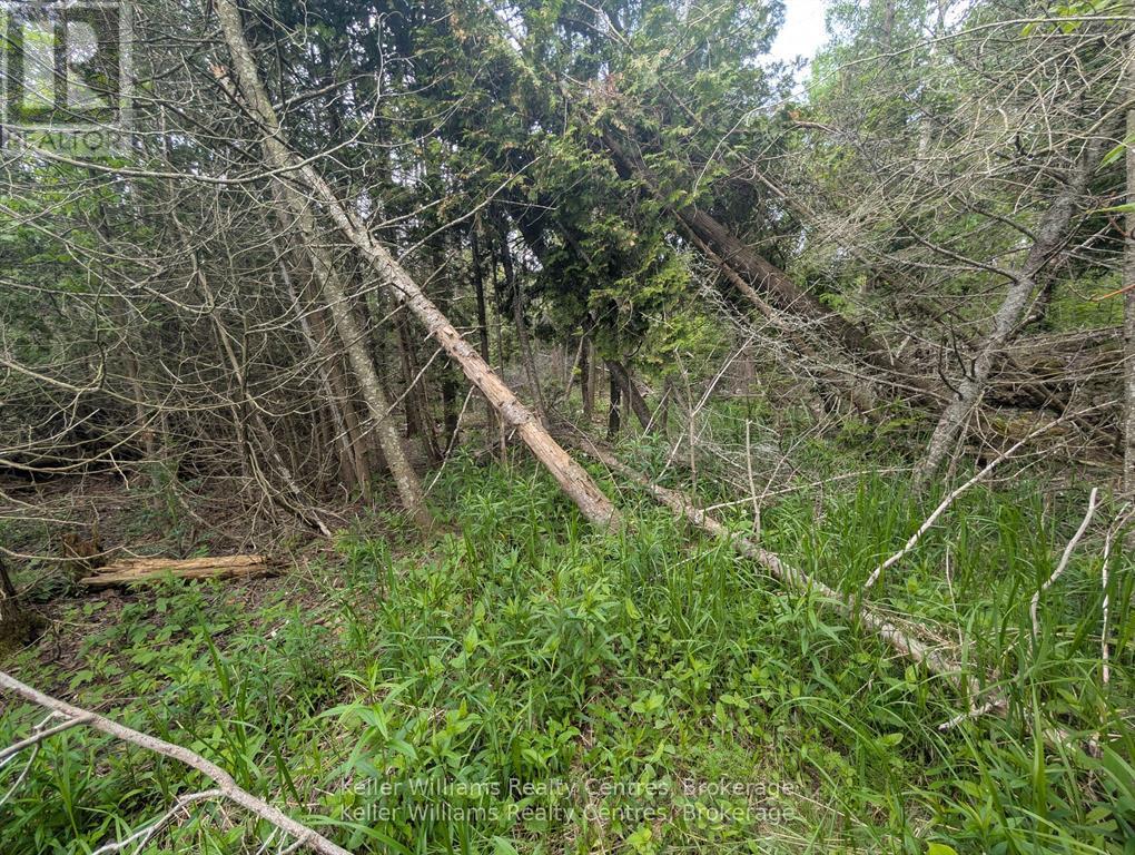 Pcl 2-3 Pt Lt 2 Walter Charman Drive, Northern Bruce Peninsula, Ontario  N0H 1W0 - Photo 21 - X12891744